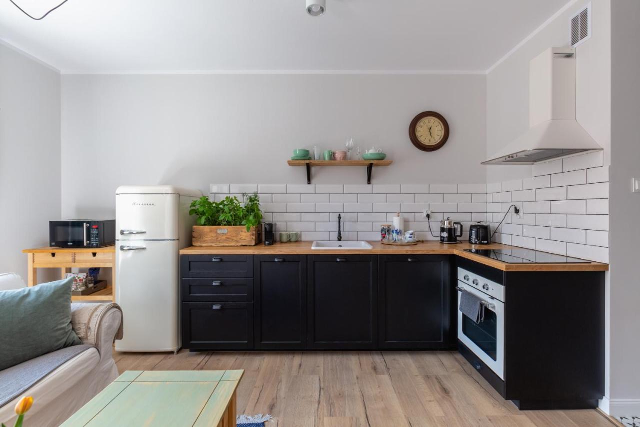 Apartament Bulvar Premium Starowka Έλμπλαγκ Εξωτερικό φωτογραφία